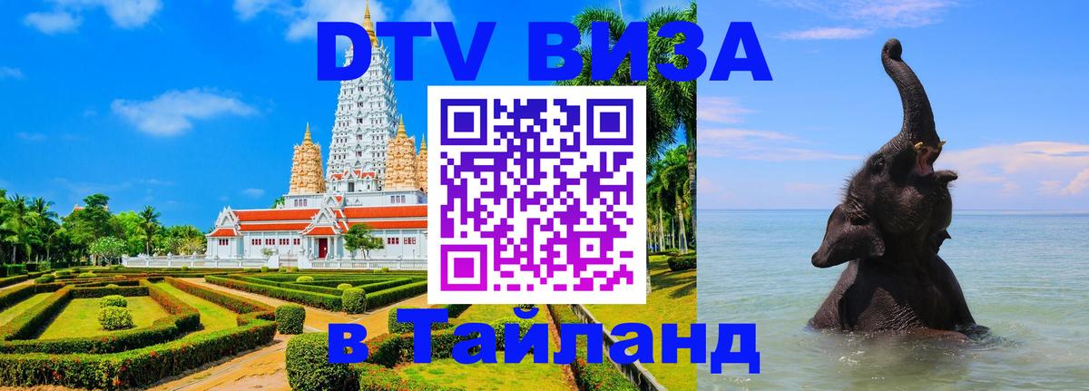 Сколько стоит DTV виза — актуальные цены, оформление даже без документов - Пенза 